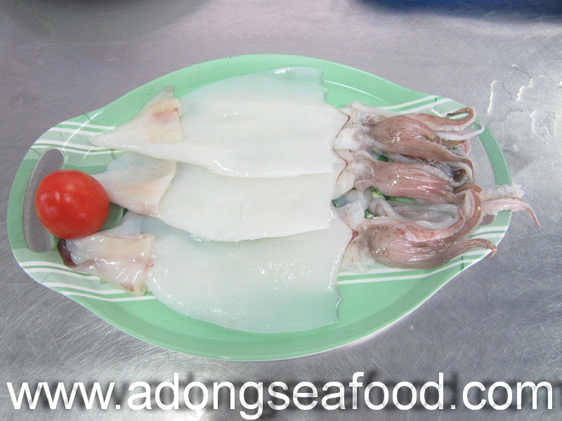 Frozen Loligo Squid