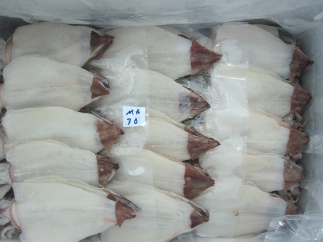 Dried Squid